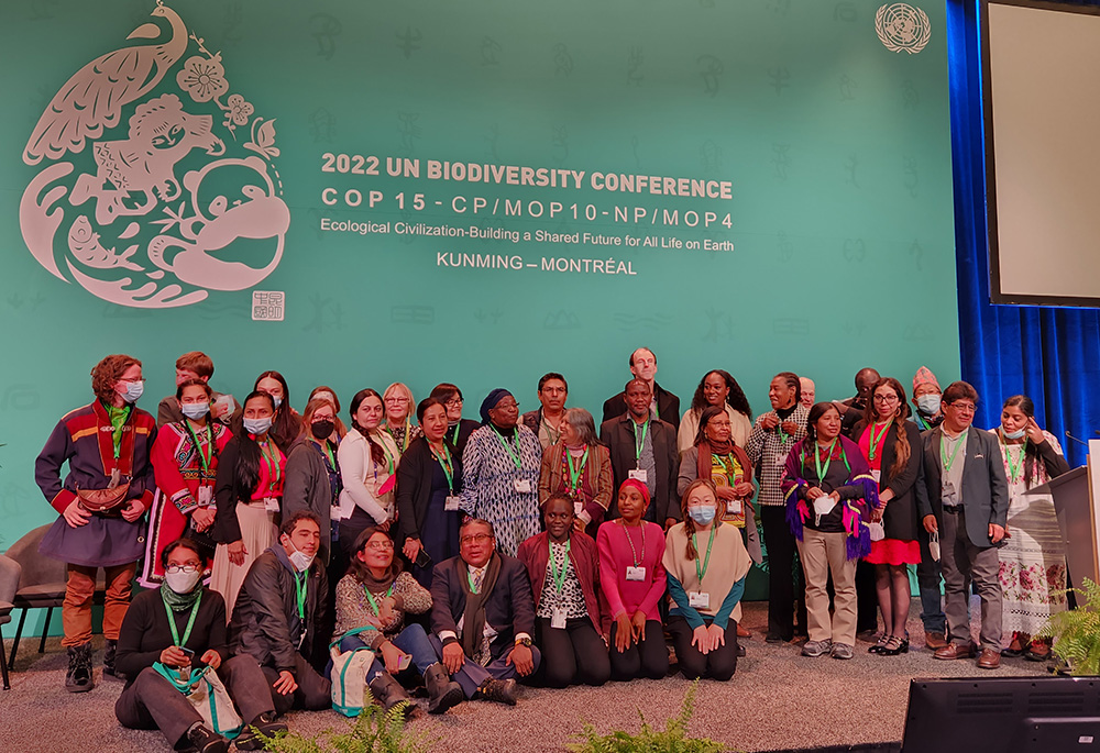 Miembros de comunidades indígenas de todo el mundo participaron en un debate de un día de duración sobre el Marco Mundial para la Biodiversidad después de 2020, el 14 de diciembre en la conferencia sobre biodiversidad de las Naciones Unidas COP15. (Foto NCR/Brian Roewe)