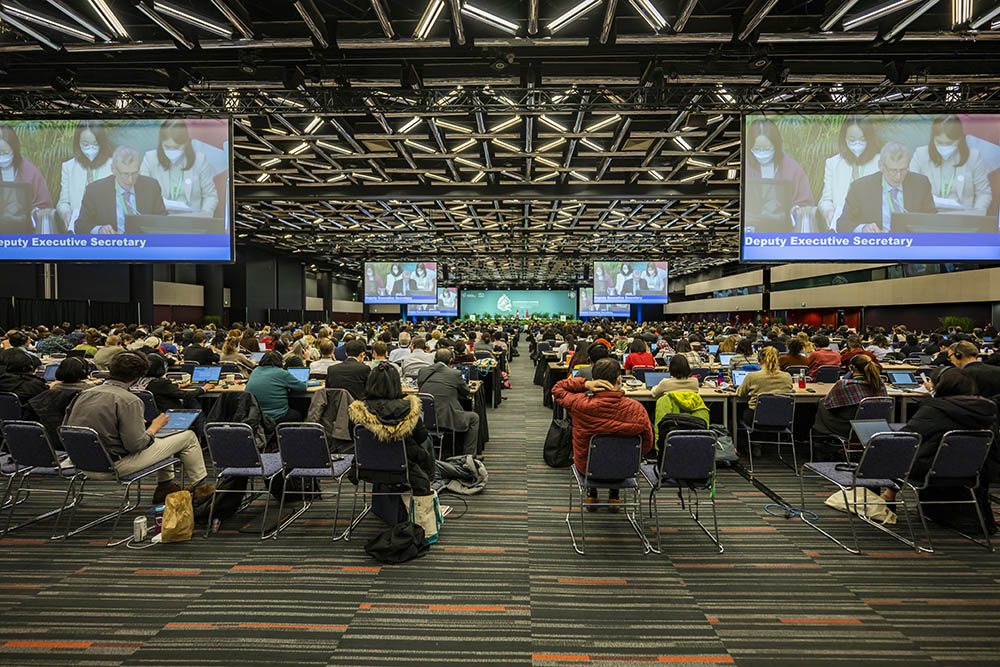 At COP15, the United Nations biodiversity conference in Montreal, 195 nations adopted Dec. 19 the Kunming-Montreal Global Biodiversity Framework, a historic agreement to halt and reverse species loss and the destruction of ecosystems. (U.N. Convention on Biological Diversity)