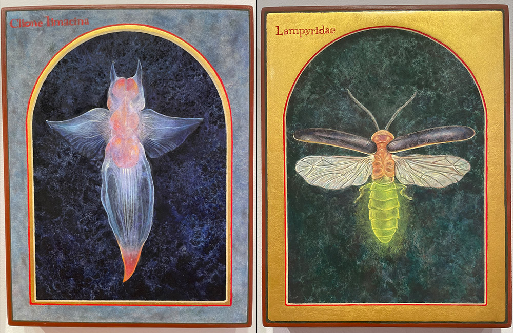Icons of a sea angel, left, and a firefly by Angela Manno (Photo by Jim McDermott)