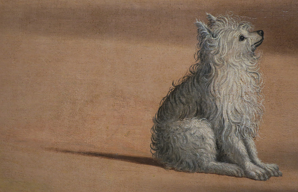 Detail of the dog (with hint of painted-over ermine) in Vittore Carpaccio's "St. Augustine in His Study" (shortly after 1502). Scuola Dalmata dei Santi Giorgio e Trifone, Venice. (Photo by Menachem Wecker)