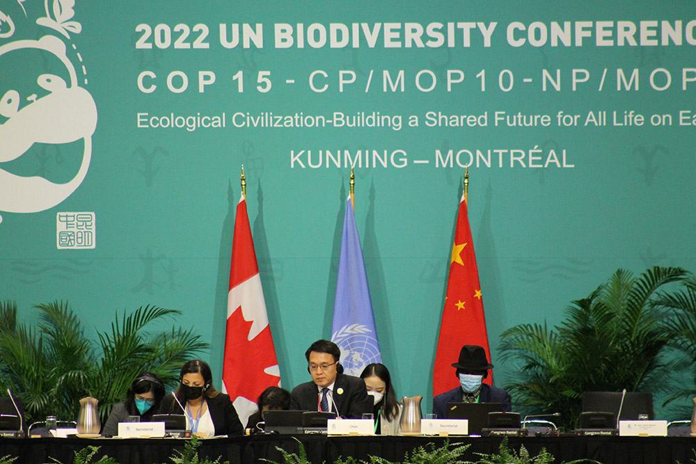 Huang Runqiu, Chinese minister of ecology and environment and COP15 president, leads the high-level segment of ministers Dec. 15 during the COP15 United Nations biodiversity conference being held in Montreal. (NCR photo/Brian Roewe)