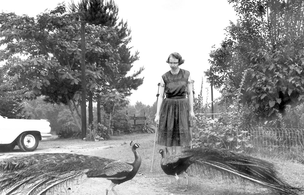 Flannery O'Connor with peacocks