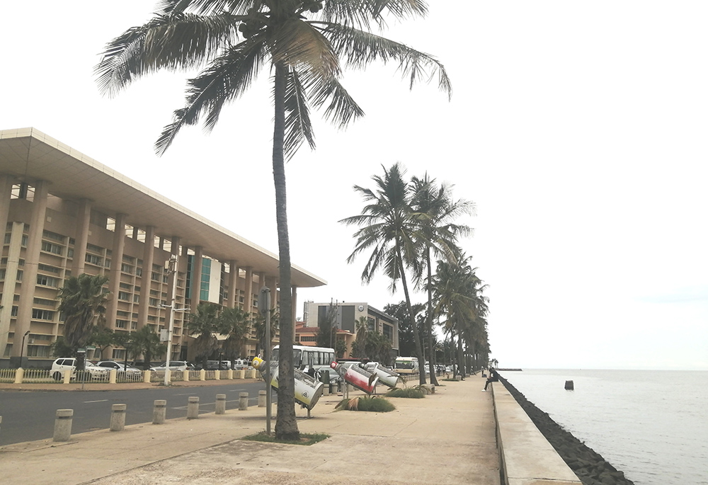 The Mozambican government is conserving nature and restoring natural ecosystems in coastal cities of Maputo and Matola among others, to provide natural buffers against floods and storms. (Tawanda Karombo)
