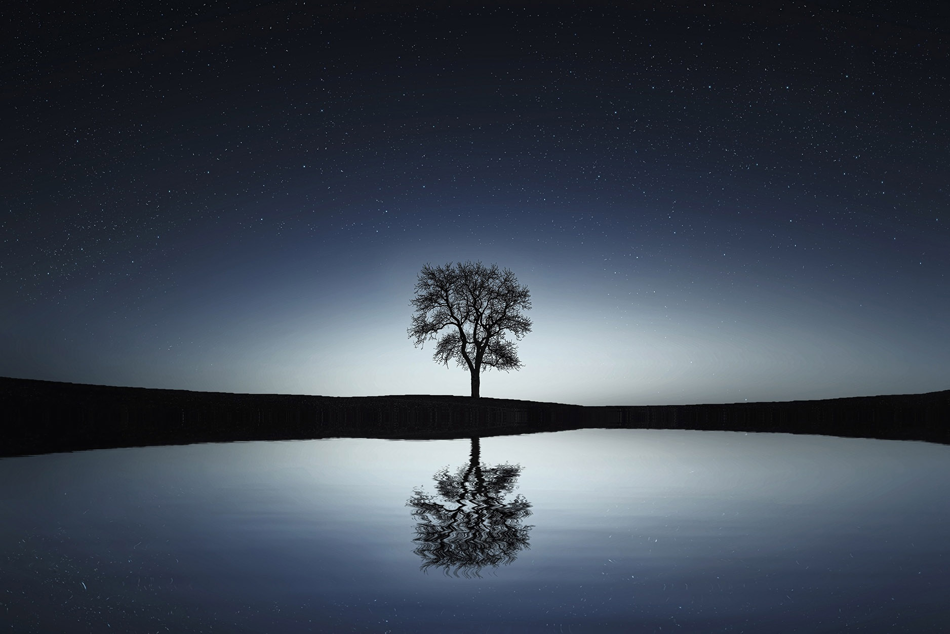 Tree reflected in water (Pixabay/Bessi)