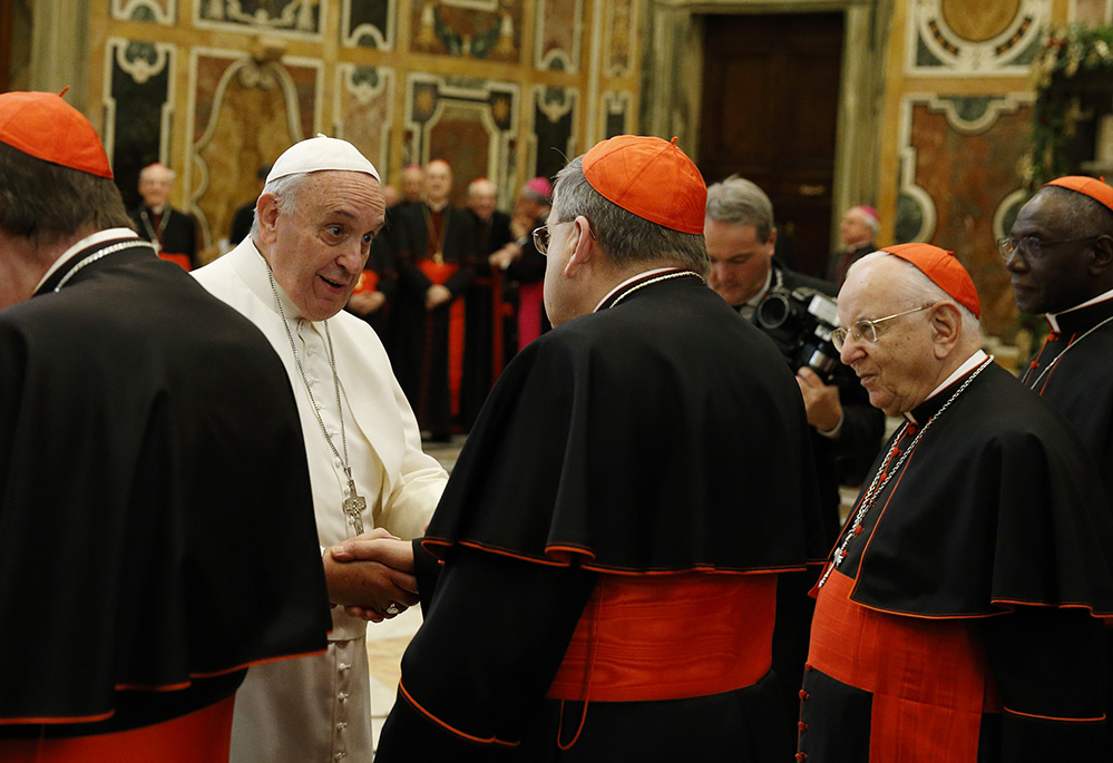 The Joy of the Gospel: Evangelii Gaudium (Publication / United States  Conference of Catholic Bishops)