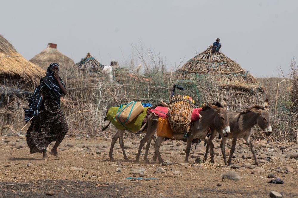 A woman drives donkeys to transport water in the drought-stricken district of Higlo Kebele, Ethiopia, Feb. 8, 2022. Catholic church leaders in Ethiopia welcomed a U.S.-funded food security program launched March 16, 2023, that will benefit millions of people suffering drought in the Horn of Africa country. (OSV News/Reuters/World Food Program/Michael Tewelde)