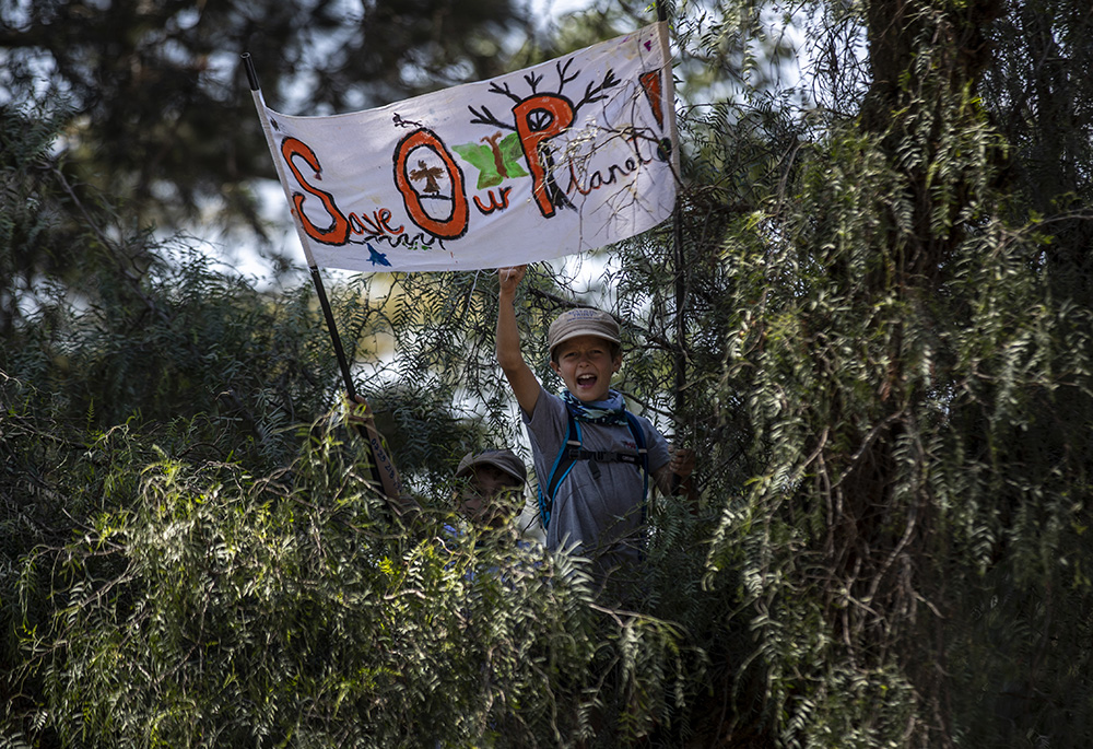 A young boy, sitting in a tree to get a view, joins about 1,000 other protesters to demand action on climate change, in a park Sept. 20, 2019, in downtown Nairobi, Kenya. The Diocese of Murang'a and Equity Bank have partnered to restore degraded forests in central Kenya. (AP photo/Ben Curtis)