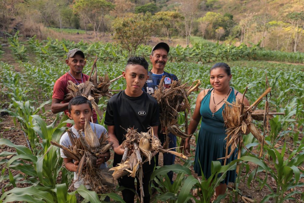 Portrait of the Figueroa Family: Maximiliano Turcios, 60, Mainor Alexis Figueroa, 9, Emilson Figueroa, 14, Rony Figueroa, 35, and Reina Padilla, 35, in their corn, bean and banana plantations that are watered even in the dry season thanks to the assistance of RAICES DRR project that installed them a water system that permits drop irrigation in the plantations saving a lot of water. 