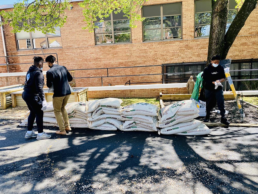 Students at St. Thomas More Academy in Washington, D.C., take part in a spring service project to clean and prepare tree beds around their school in April 2022. The trees were planted through a partnership with Laudato Trees, a volunteer-led program to increase tree canopy at Catholic properties in the Washington Archdiocese. (St. Thomas More Academy/Gerald Smith)