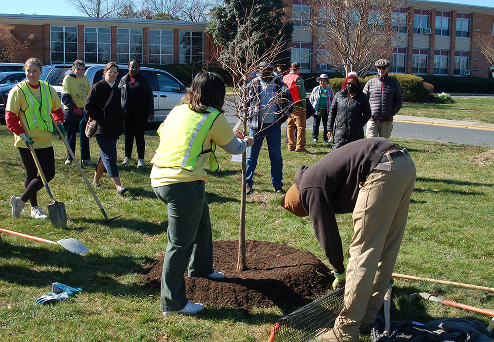 Laudato Trees volunteer Philip Downey, back right, watches as students help plant a new tree at Elizabeth Seton High School in Blandensburg, Maryland. (Elizabeth Seton High School/Perry Wargo)