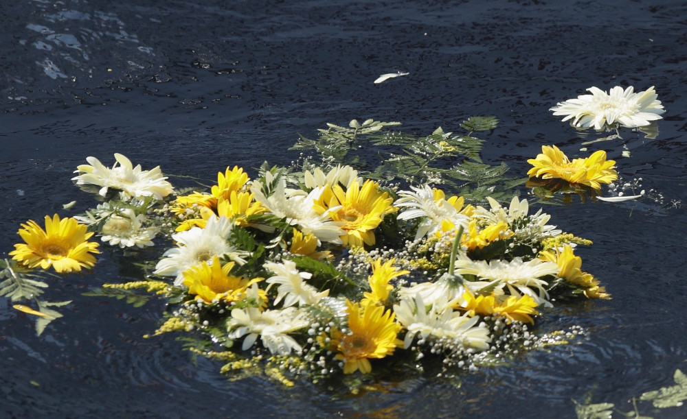 A mass of yellow and white flowers clumped together floats in dark-colored water