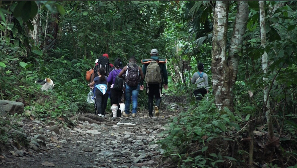 A group of people wear large backpacks and some wear ballcaps as they walk up a forest hill