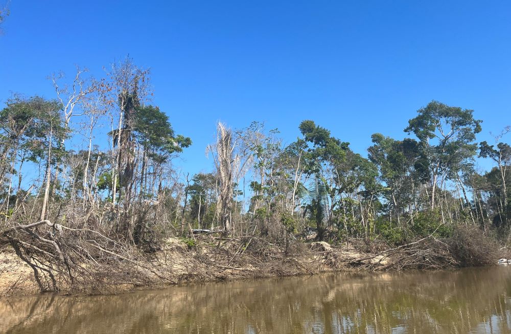 TEsta imagen, en las afueras del territorio karipuna, muestra dónde se ha realizado la deforestación en esta parte de la Amazonía. (Foto: Ellie Hidalgo)