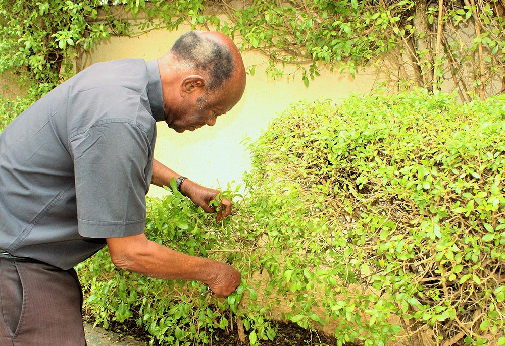 Msgr. Kenneth Enang, chairman of the Education Commission for the Archdiocese of Abuja, Nigeria, tends to flower plants in his garden. (EarthBeat photo/Valentine Benjamin)