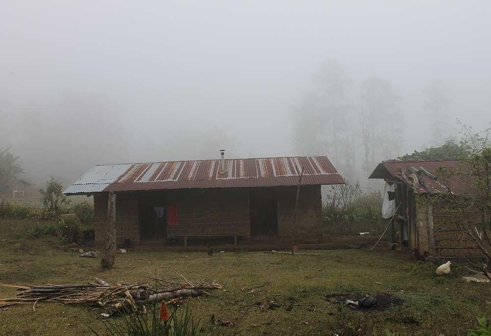 Lino Alberto's home is located in the El Cedro community of Opatoro in La Paz. Hurricanes struck Honduras days apart in November 2020. While the hurricanes made landfall along the northeast coast, torrential rainfall carried well into the Dry Corridor. Floodwaters swamped Alberto's fields and wiped out his entire crop. (NCR photo/Brian Roewe)