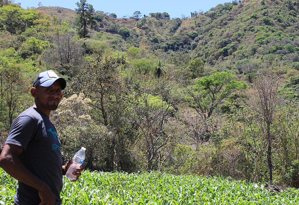 Rony Figueroa is pictured in his fields, which he now farms with support from local groups, international NGOs and development agencies, including Catholic Relief Services. (NCR photo/Brian Roewe)