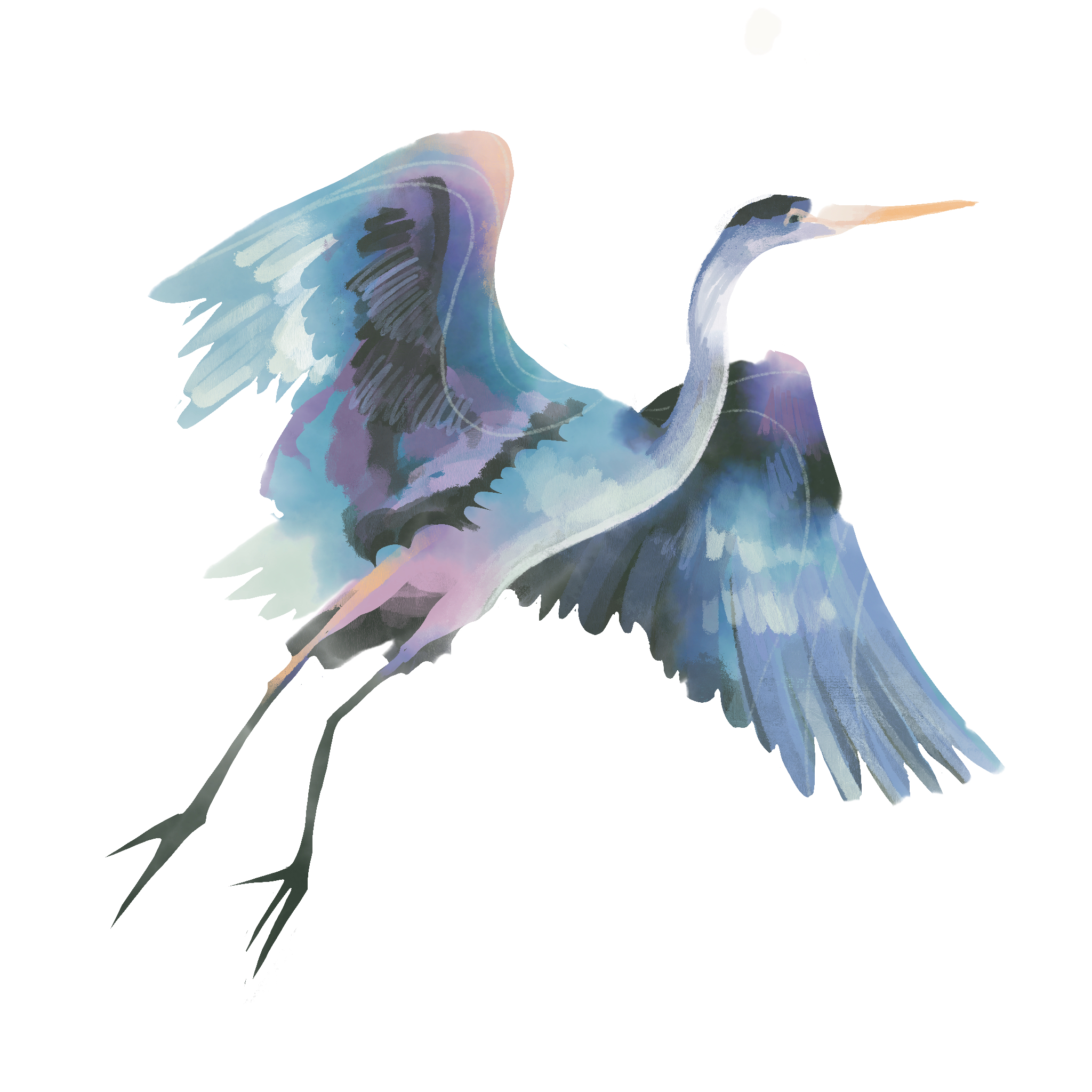 creature feature blue heron