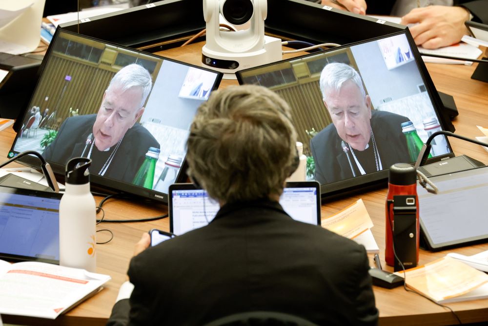 The back of a person is seen working on a computer, with screens showing video of Cardinal Jean-Claude Hollerich.