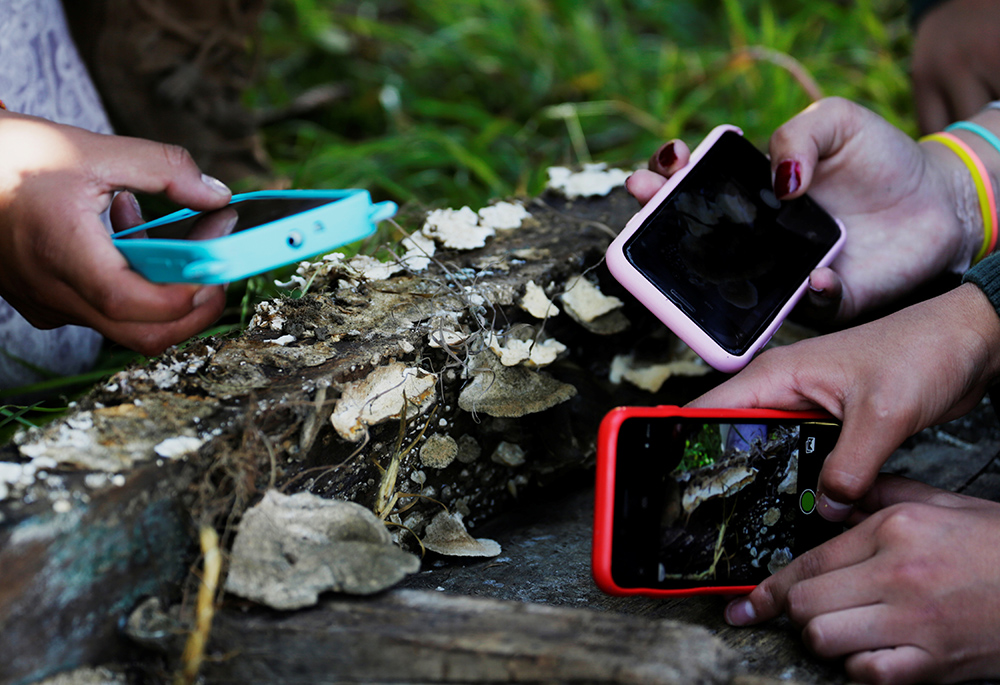 Students take photographs of mushrooms April 29, 2019, in Cota Cota, La Paz, Bolivia. (CNS/Reuters/David Mercado)