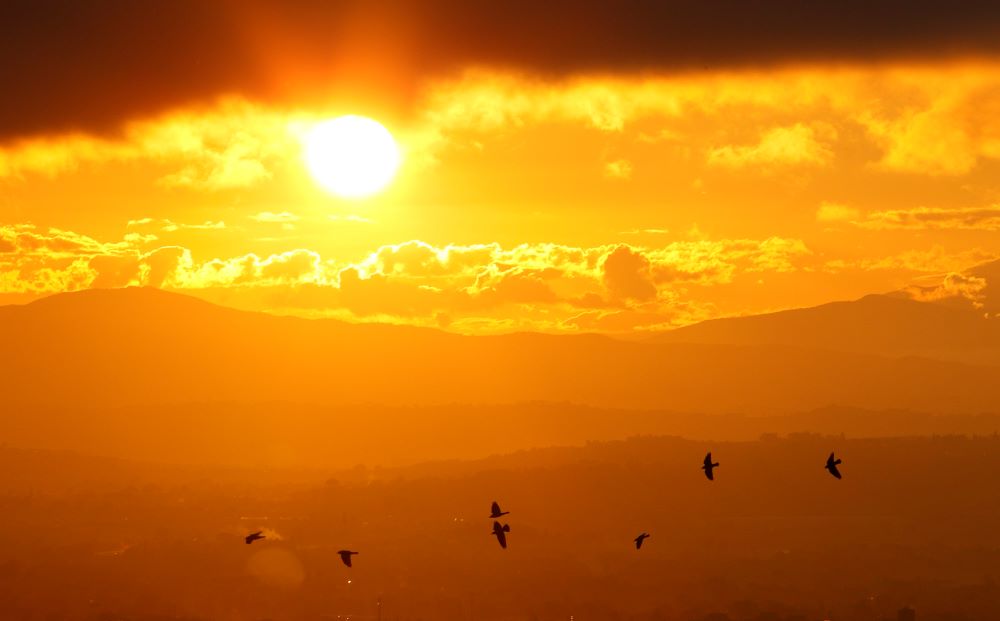 Birds fly as the sun sets over the mountains near Assisi, Italy, in this Oct. 26, 2011, file photo. St. Francis, who was born in Assisi in the 12th century, is the patron saint of ecology and his feast day is Oct. 4. (CNS/Paul Haring)