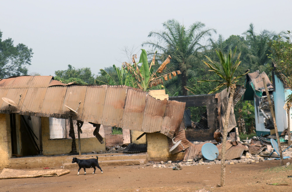 A burned building with a flimsy and crumpling roof is visible in front of palm trees