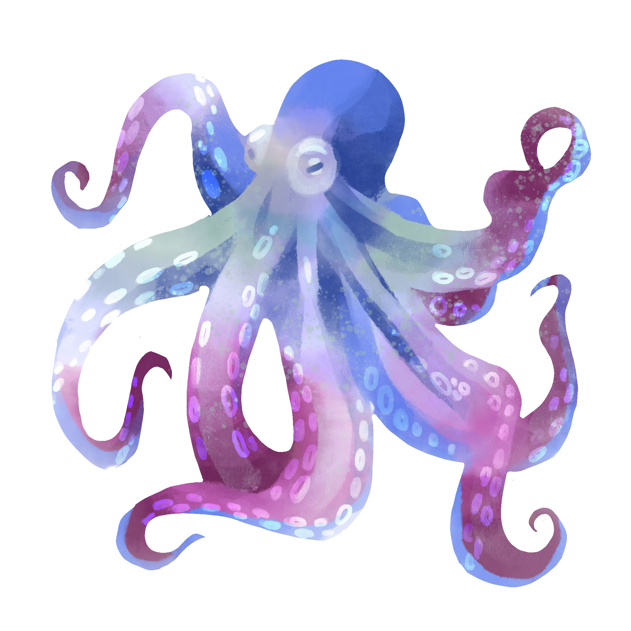 Octopus (Ryan McQuade)
