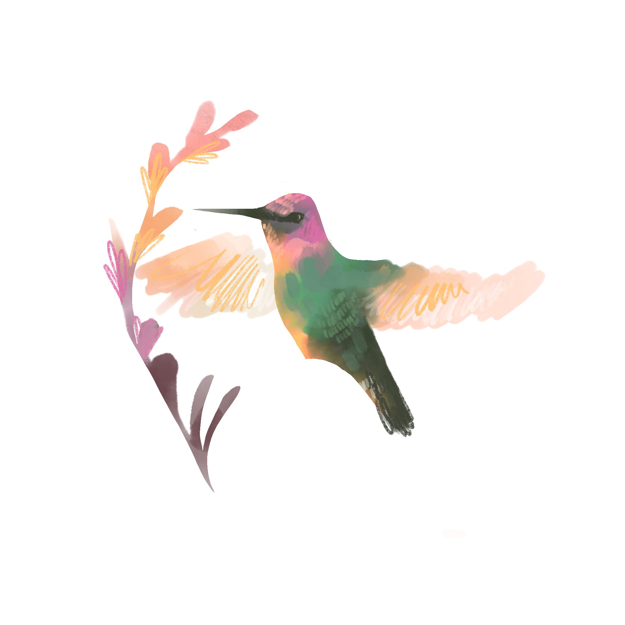 Hummingbird (Ryan McQuade)