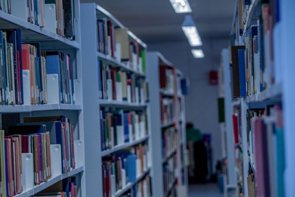 Library shelves