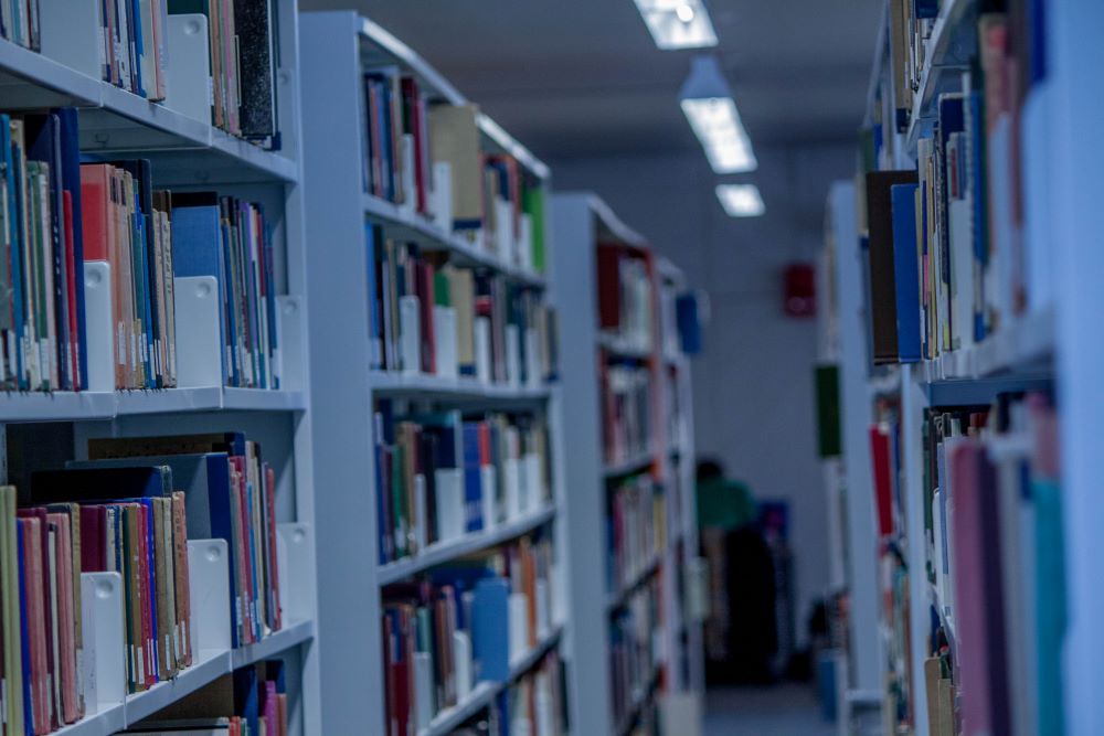 Library shelves 