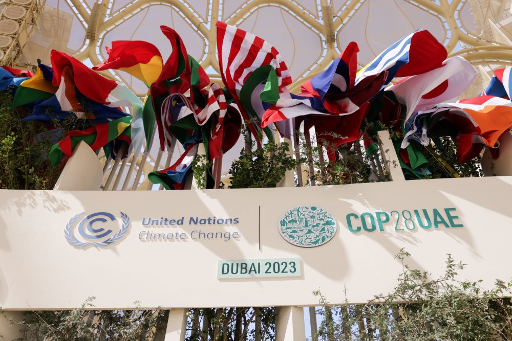 Flags can be seen inside the dome during COP28, the U.N. Climate Change Conference.