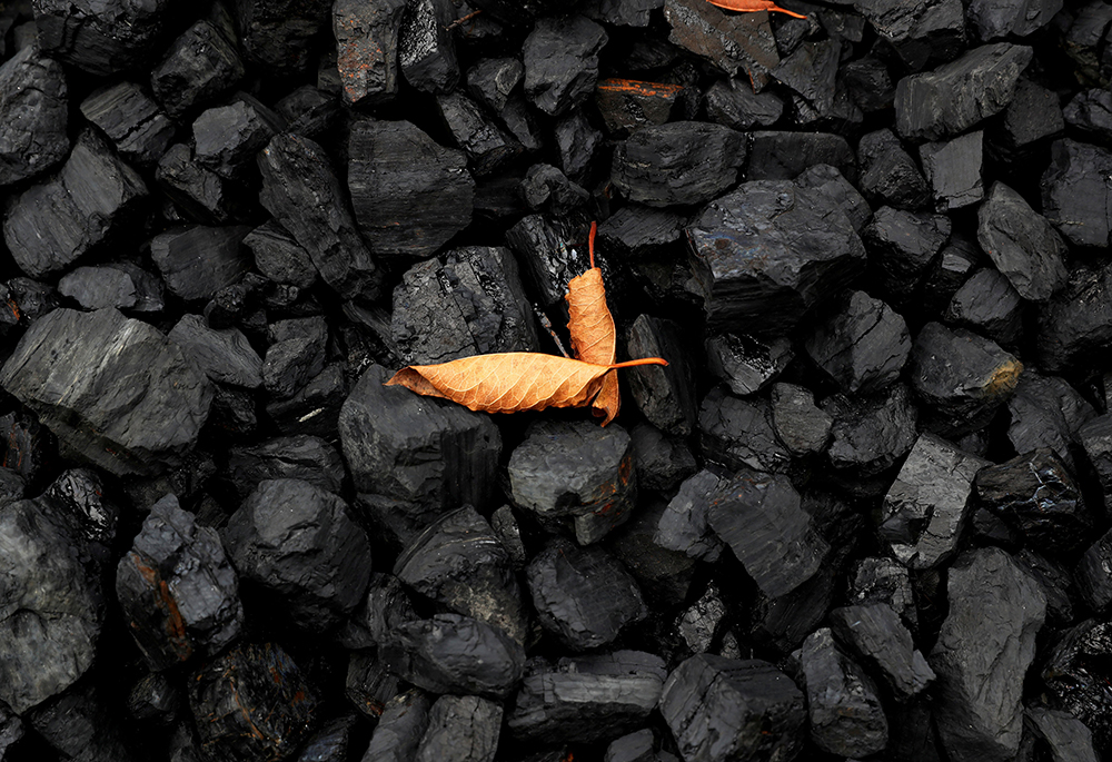 A leaf sits on top of a pile of coal in this illustration photo. (CNS/Reuters/Shannon Stapleton)