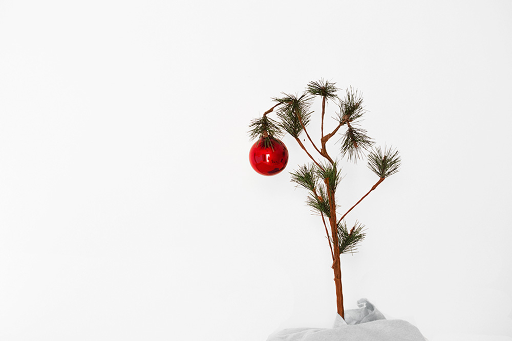 An image of a small Christmas tree with one red ball ornament