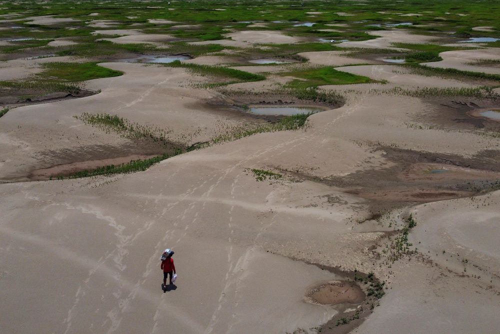 A resident of a riverside community carries food and containers of drinking water distributed due to the drought in Careiro da Varzea, Amazonas state, Brazil, Oct. 24.