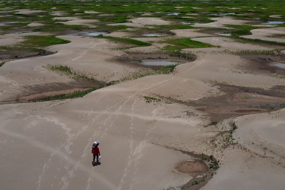 A resident of a riverside community carries food and containers of drinking water distributed due to the drought in Careiro da Varzea, Amazonas state, Brazil, Oct. 24.