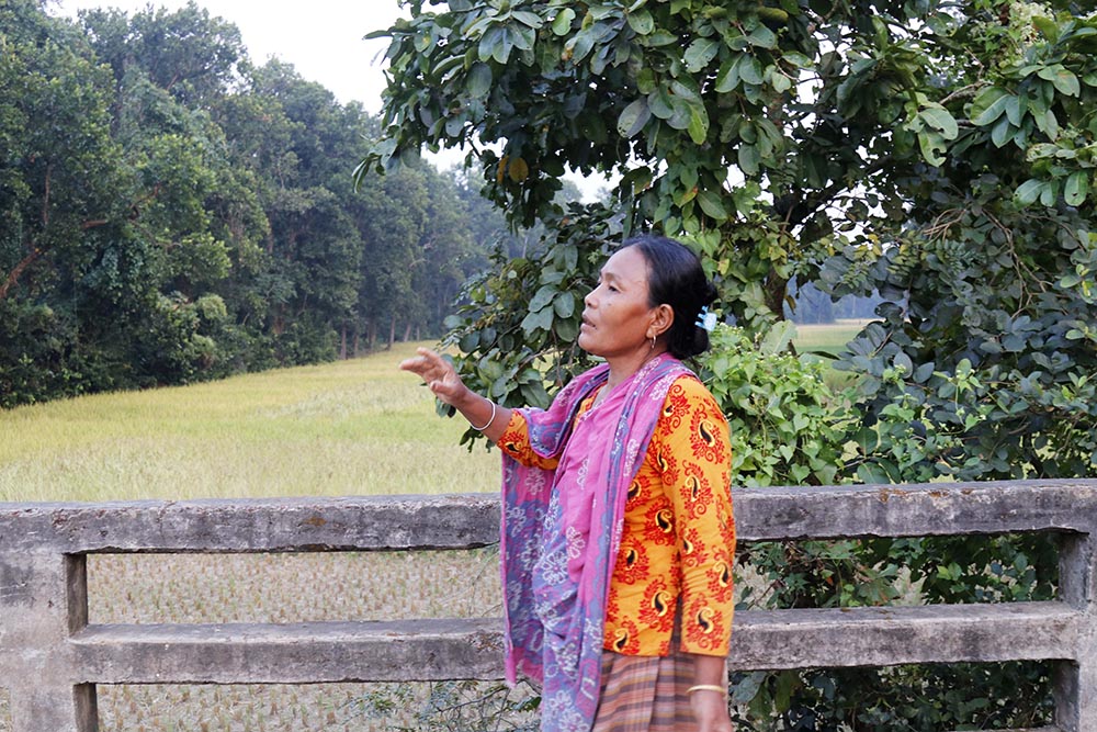 A Garo Indigenous woman from Madhupur, Bangladesh, shows the site selected for an artificial lake. ‍(Stephan Uttom Rozario)