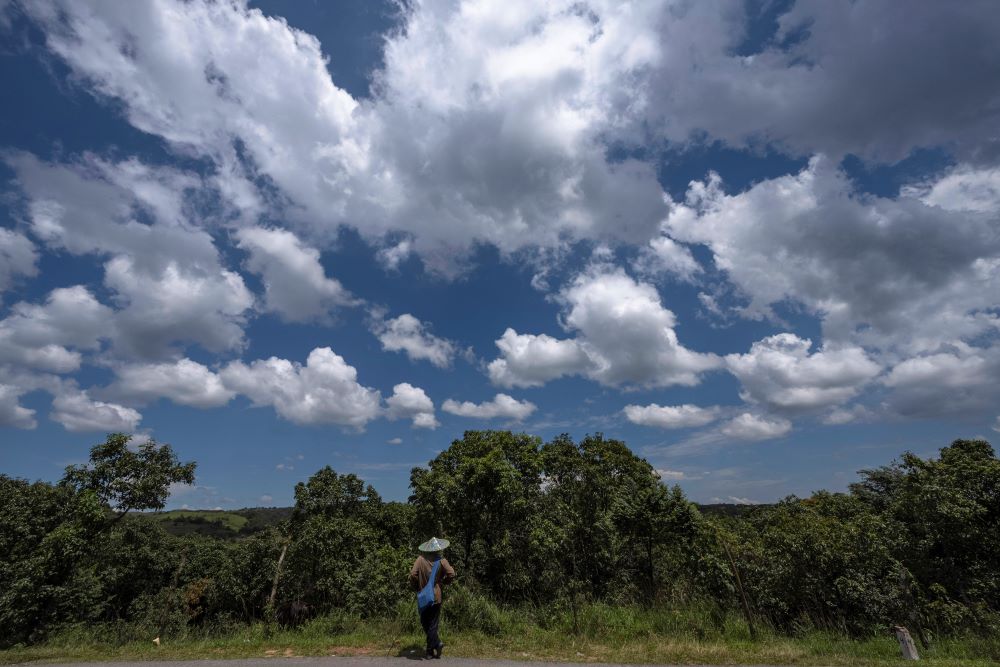 A Jaintia tribal man stands by a sprawling sacred forest in Jaintia Hills, a sparsely populated mountainous region of Meghalaya, a state in northeastern India, Wednesday, Sept. 6, 2023. Meghalaya is home to more than 125 sacred forests. These are tracts of virgin woodlands, which the Indigenous people believe are the abodes of their gods. (AP Photo/Anupam Nath)