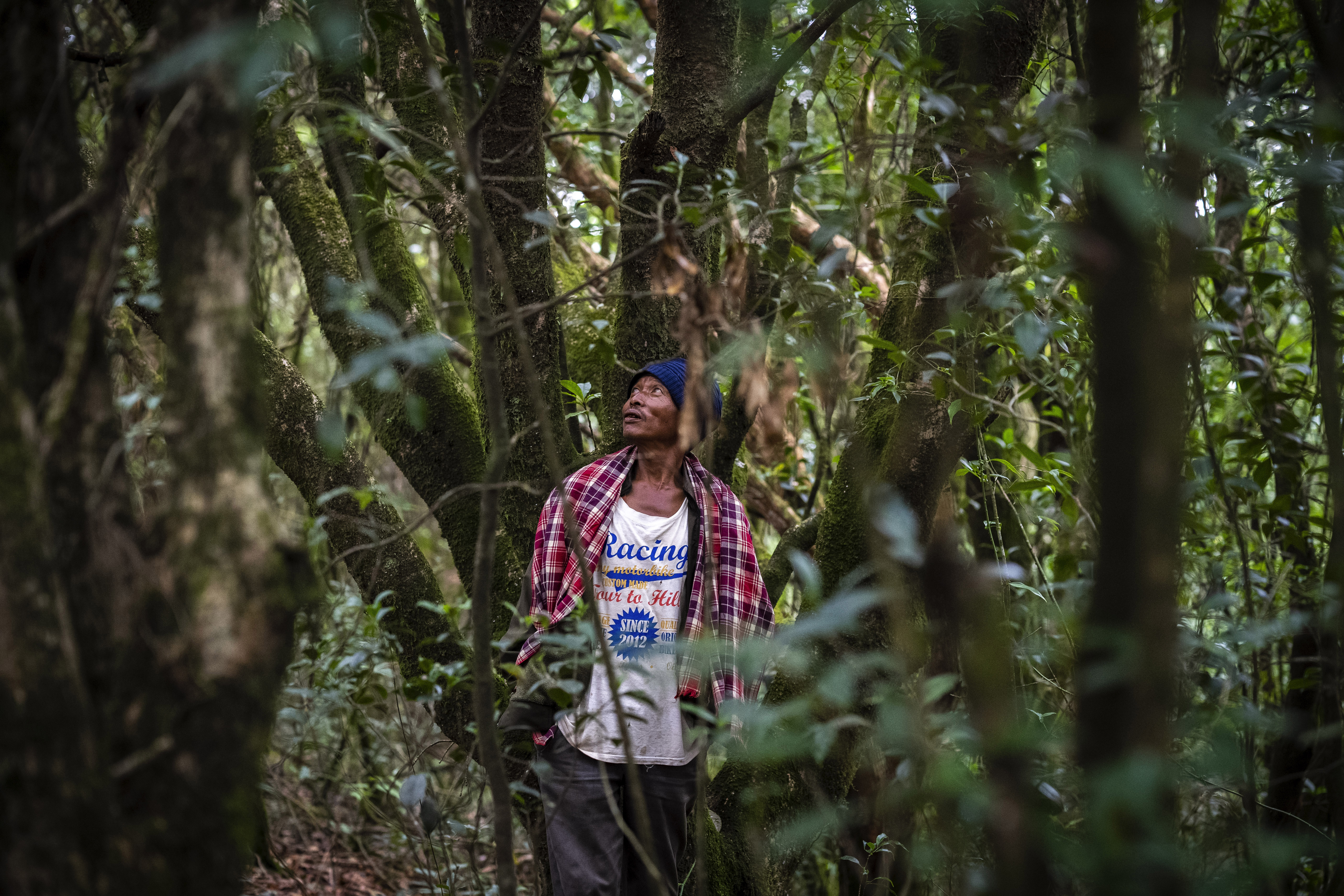 Jiersingh Nongrum is a member of the clan that cares for Swer sacred forest in the East Khasi Hills region of Meghalaya near Cherrapunji, an area about 35 miles southwest of Shillong, which is among the wettest in the world, Thursday, Sept. 7, 2023. (AP Photo/Anupam Nath)