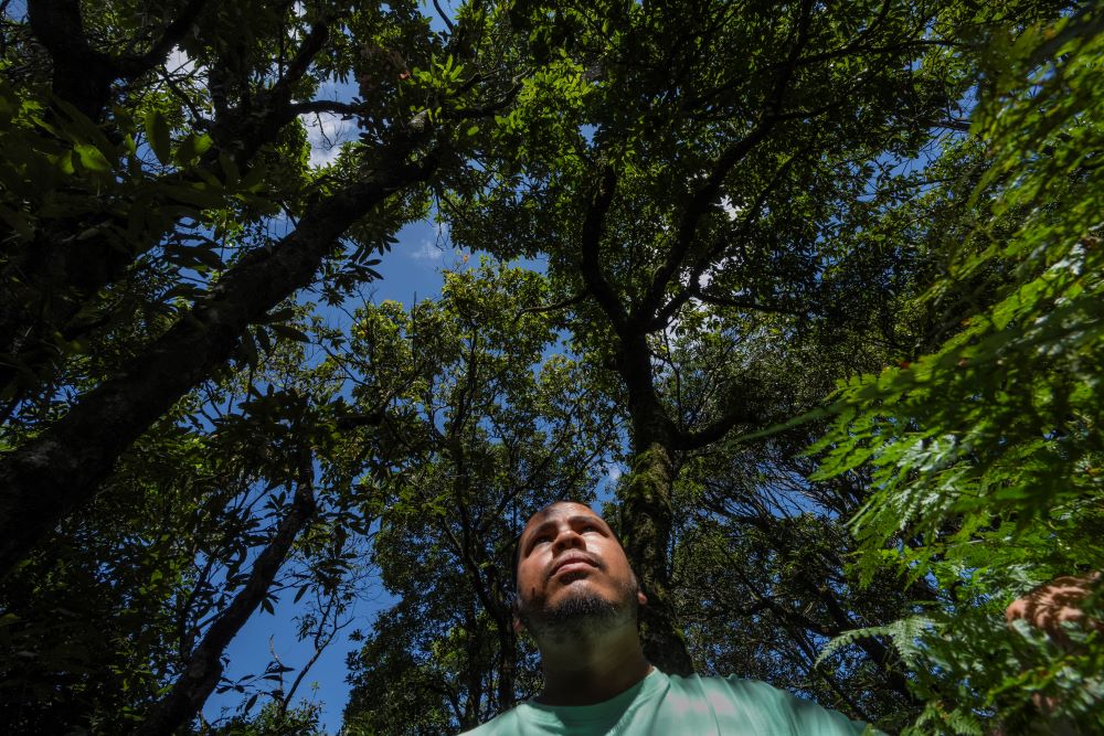 Donbok Buam, a native of Jaintia Hills in Meghalaya, stands in a sacred forest, a sparsely populated mountainous region of Meghalaya, a state in northeastern India, Wednesday, Sept. 6, 2023. Buam still practices the Indigenous faith and is trying to promote ecotourism in the region. In his village's sacred forest, he says, rituals are performed at the confluence of three rivers honoring the goddess Lechki, denizen of the forest and guardian of the village. (AP Photo/Anupam Nath)