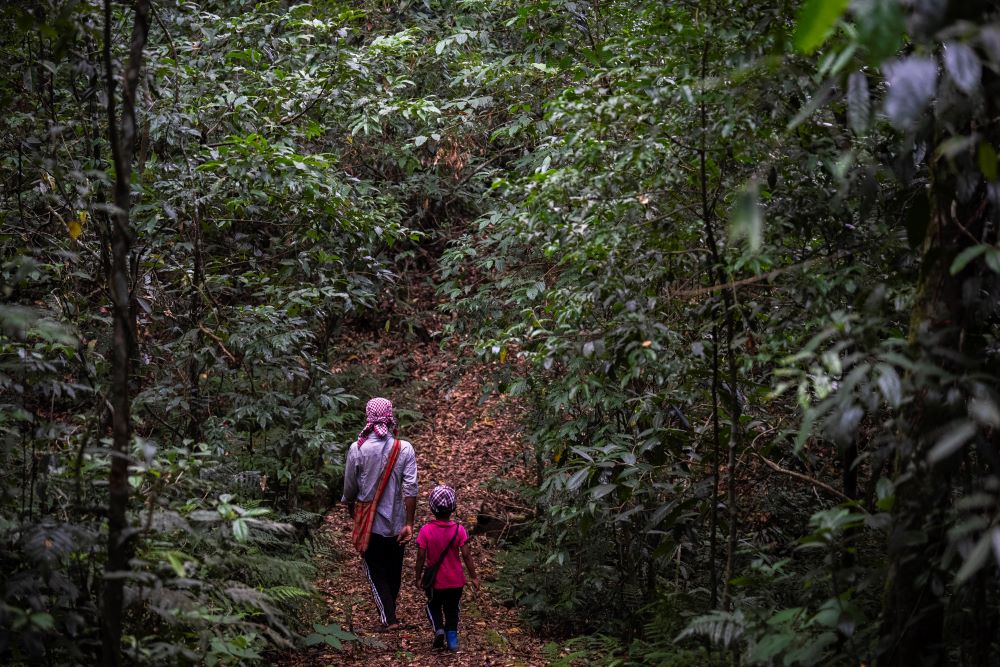 Petros Pyrtuh takes his 6-year-old son, Bari Kupar, to a sacred forest near his village in the West Jaintia Hills region of Meghalaya, a state in northeastern India, Wednesday, Sept. 6, 2023. He is Christian, but said the forest is an important part of his life. He said he is now teaching his young son to respect and value the forest.