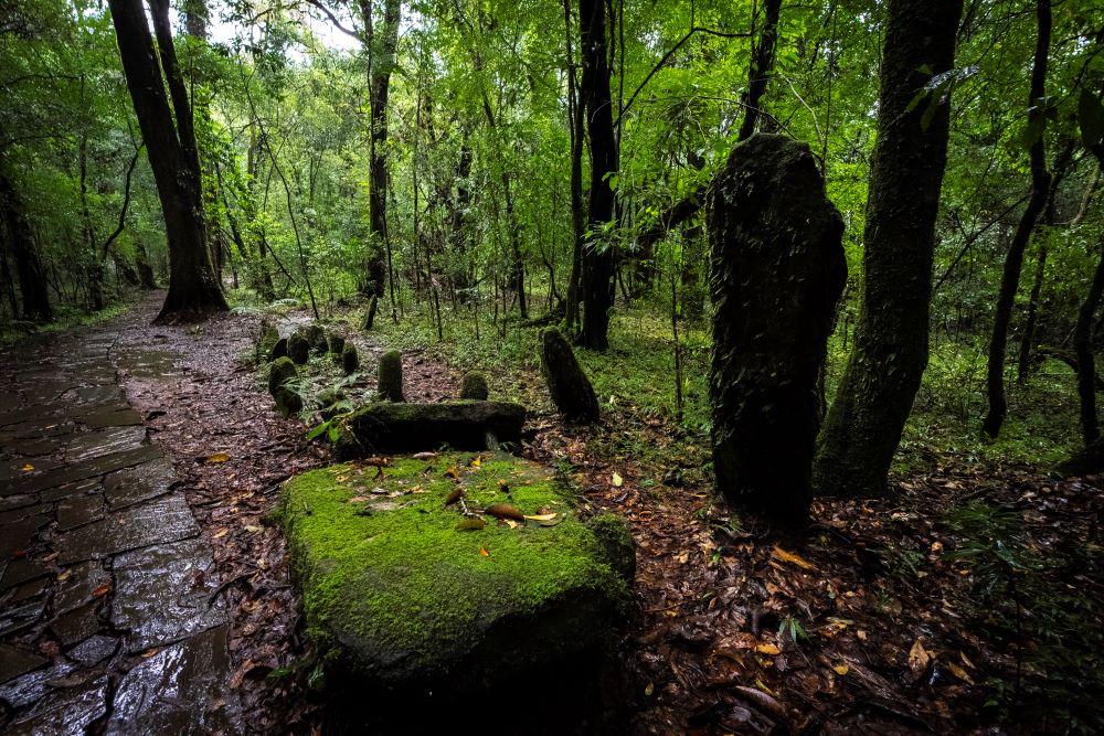 Moss-covered sacred stones seen in the Mawphlang sacred forest in Meghalaya, a state in northeastern India, Friday, Sept. 8, 2023. Sacred stones in the Mawphlang sacred forest have served as the recipients of chants, songs and prayers for centuries. (AP Photo/Anupam Nath)