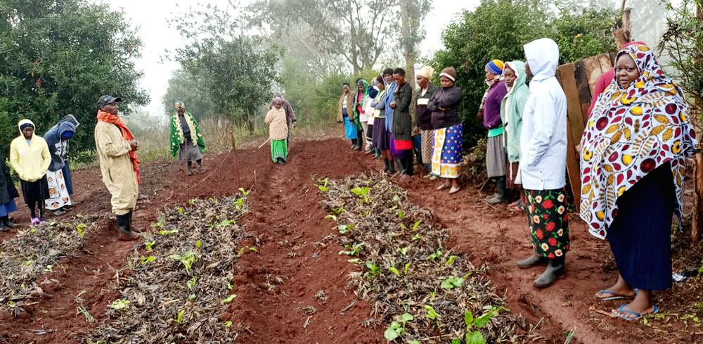 As part of the "Regenerative Agriculture Through Sustainable Farming Methods" project, Kenyan farmers are trained on the preparation of double dig beds and companion planting. (Courtesy of Josephine Kwenga)