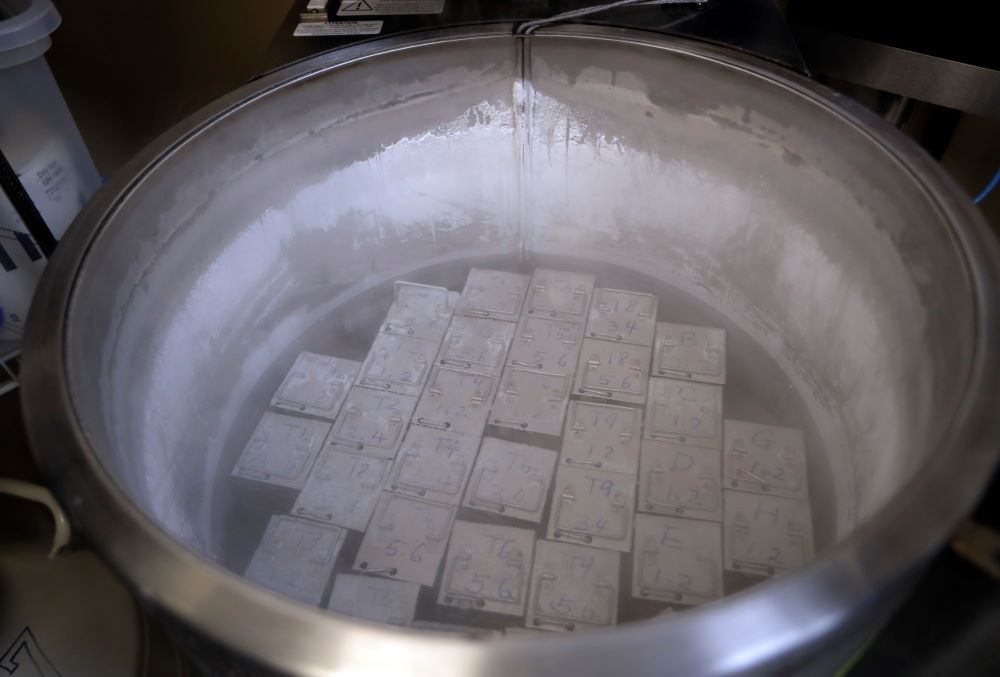 Containers holding frozen embryos and sperm are stored in liquid nitrogen at a fertility clinic in Fort Myers, Fla., in this Oct. 2, 2018 photo. 