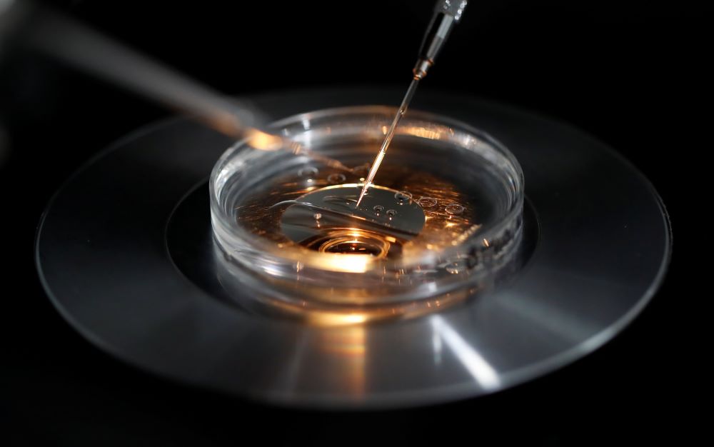 A medical lab technologist operates an embryo vitrification during an intra cytoplasmic sperm injection process at a laboratory in Paris on Sept. 13, 2019. The Alabama Supreme Court recently ruled that frozen embryos qualify as children under state law. 