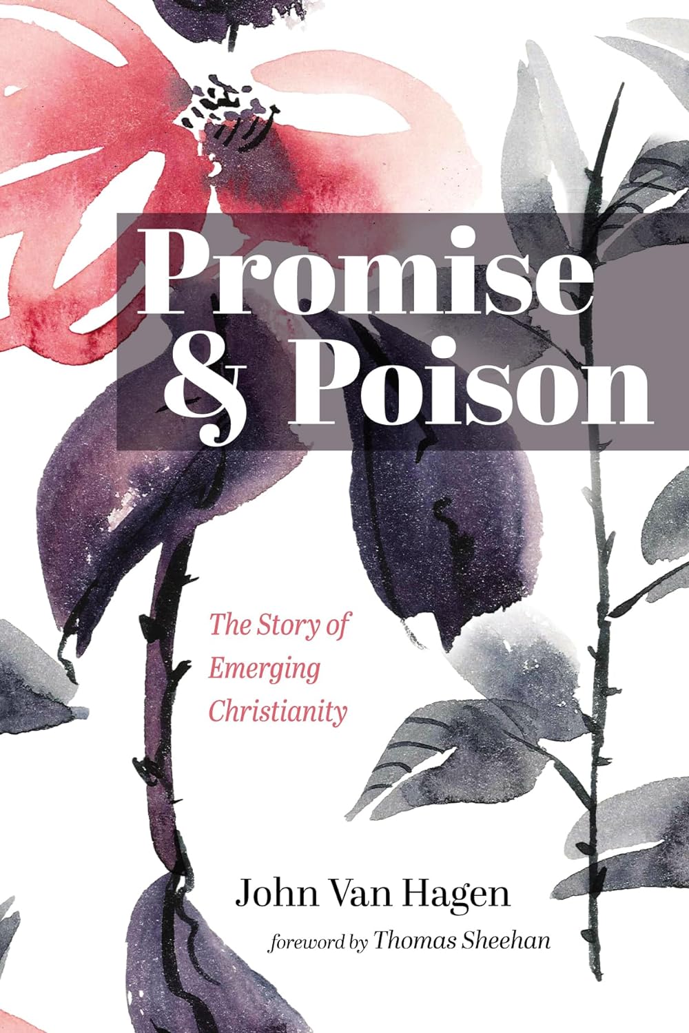 Book cover for "Promise and Poison: The Story of Emerging Christianity"