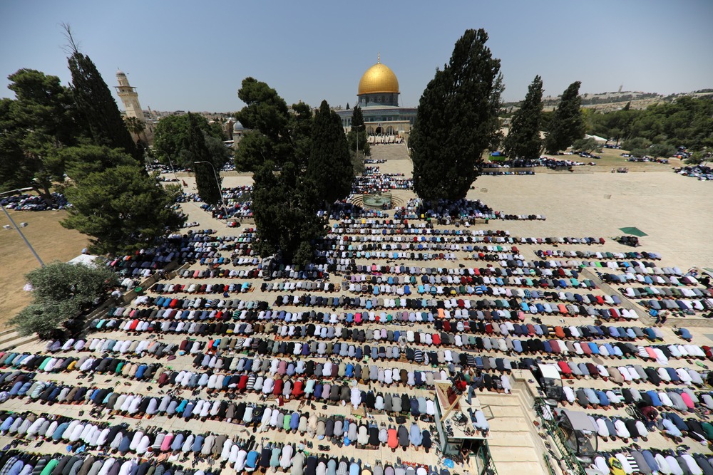 Aerial view of many people praying