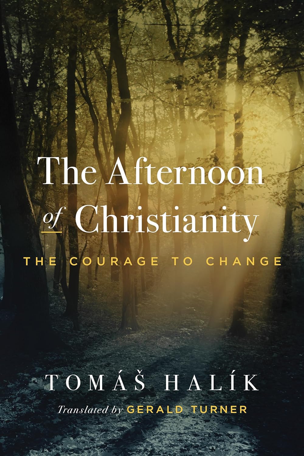 "Afternoon of Christianity" book cover