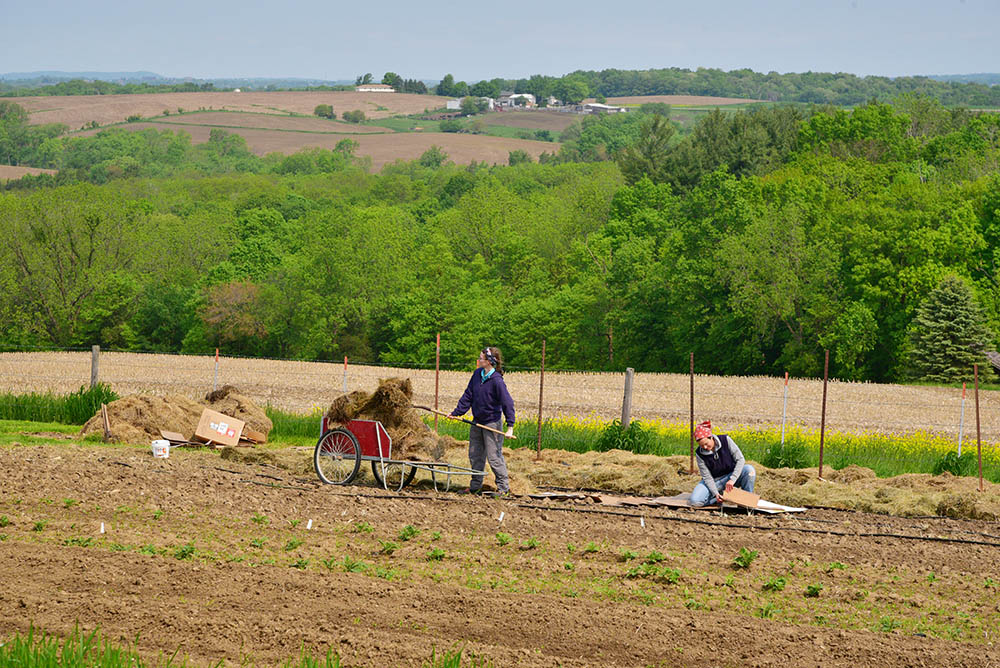Trappistine nuns at Our Lady of the Mississippi Abbey near Dubuque, Iowa, tend to their land. (Courtesy of Bill Witt)