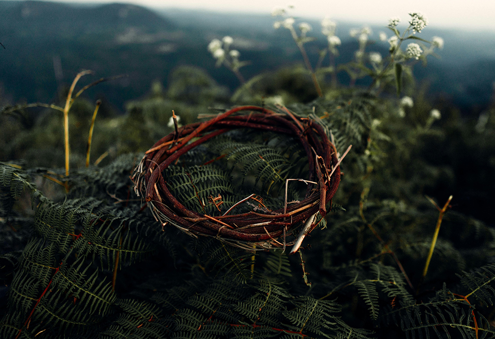 A crown made of sticks and brush rests on top of ferns in an outdoors scene. (Unsplash/Samuel Lopes)
