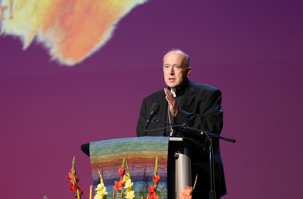 Cardinal Robert W. McElroy Cardinal McElroy stands at lectern speaking