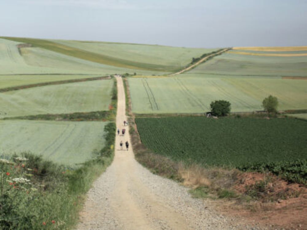 Pilgrims along the Camino de Santiago in northern Spain.
